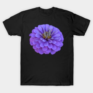 purple flower T-Shirt